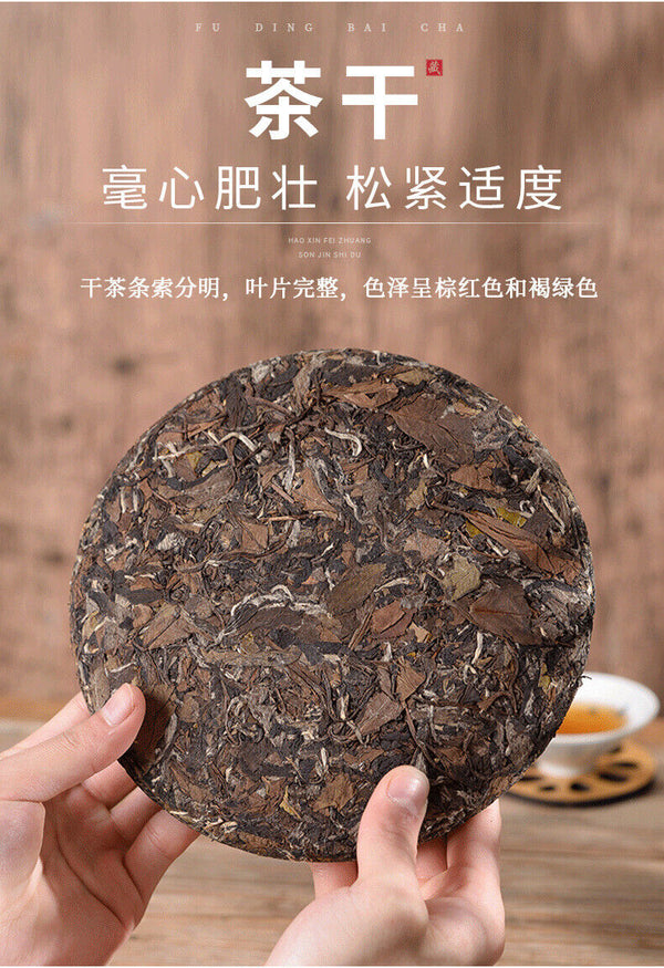 HelloYoung Fuding white tea cake fragrance gongmei shoumei Panxi old white tea cake