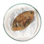 HelloYoung 500g Yunnan Alpine Ancient Tree White Tea Organic Golden Leaf Sun Sun White Tea