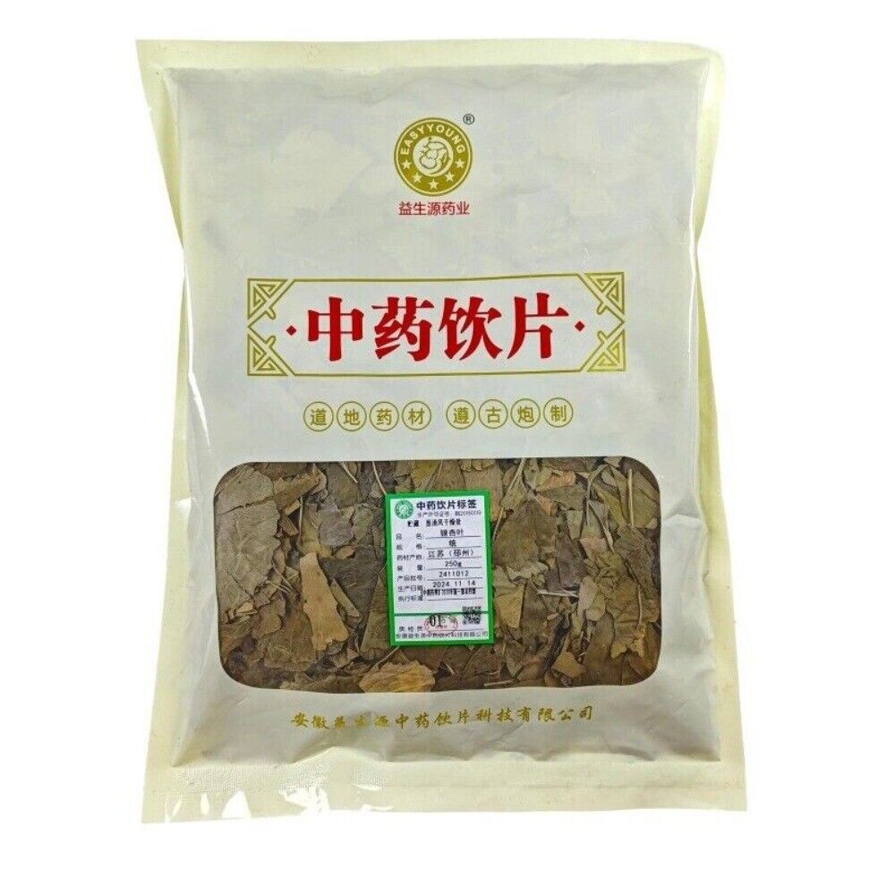 Ginkgo Leaf Tea Natural Health Benefits Traditional Chinese Herbal Wellness Main image