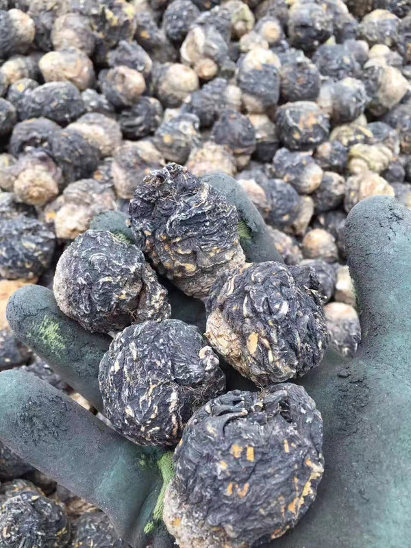 Extra Large Black Maca Kali River Maca Yunnan Maca Raw Materials Dried Fruit