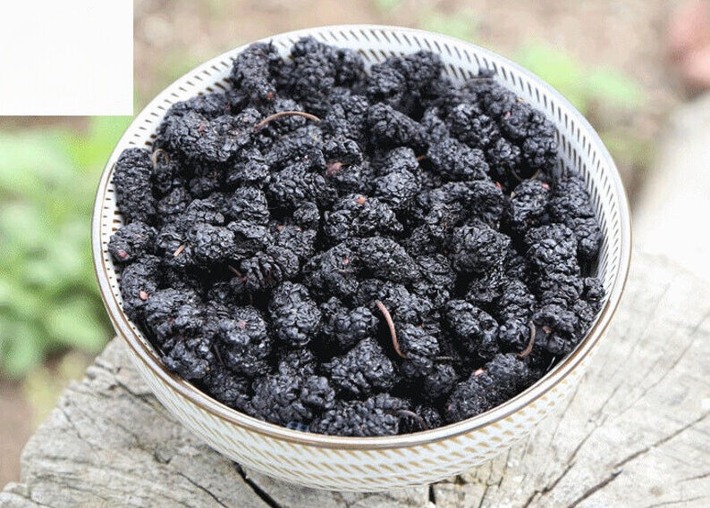 Sang Shen Mulberry Fruit Flower Tea Dried Whole Mulberries 100% Natural 桑葚 Main image