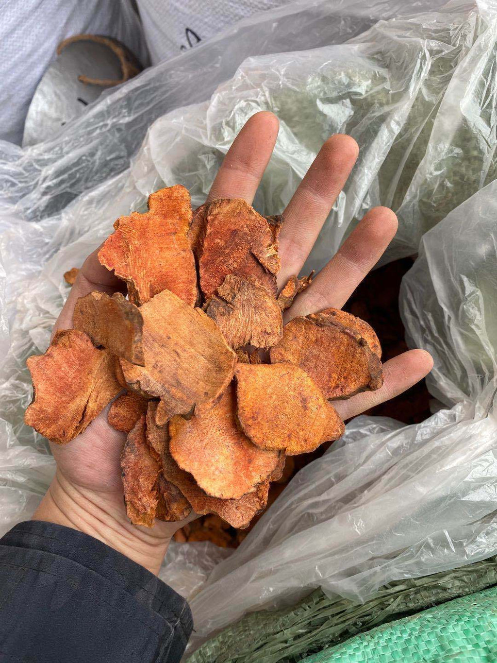 HelloYoung New Poria cocos fresh stock Poria cocos slices Poria cocos tea 500g