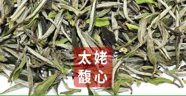 HelloYoung 500g Fuding white tea white peony king loose tea Panxi Ming Qian tea