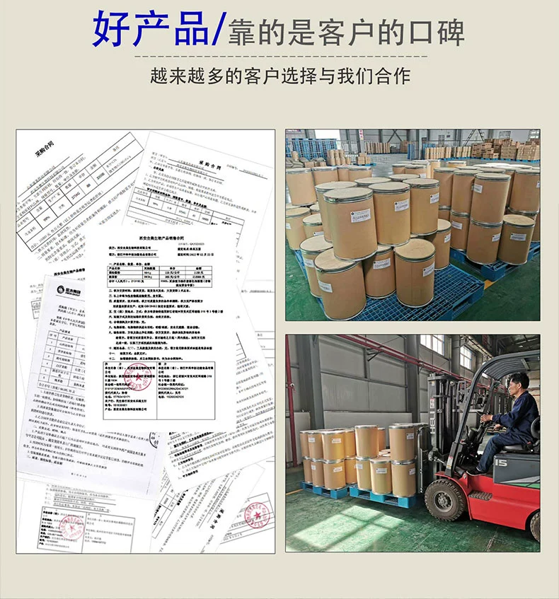 Pine Needle Extract Powder 20:1 - Water Soluble Concentrate Herbal Tea