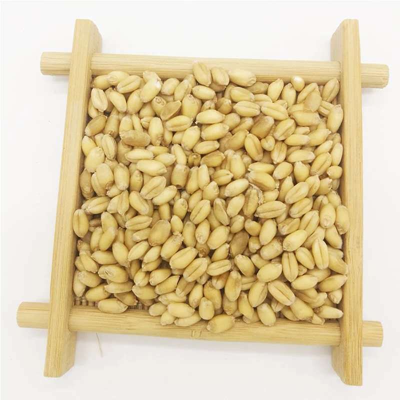 HelloYoung Floating WheatWhite Products Agricultural ProductsChinese Medicinal Herbs 500g