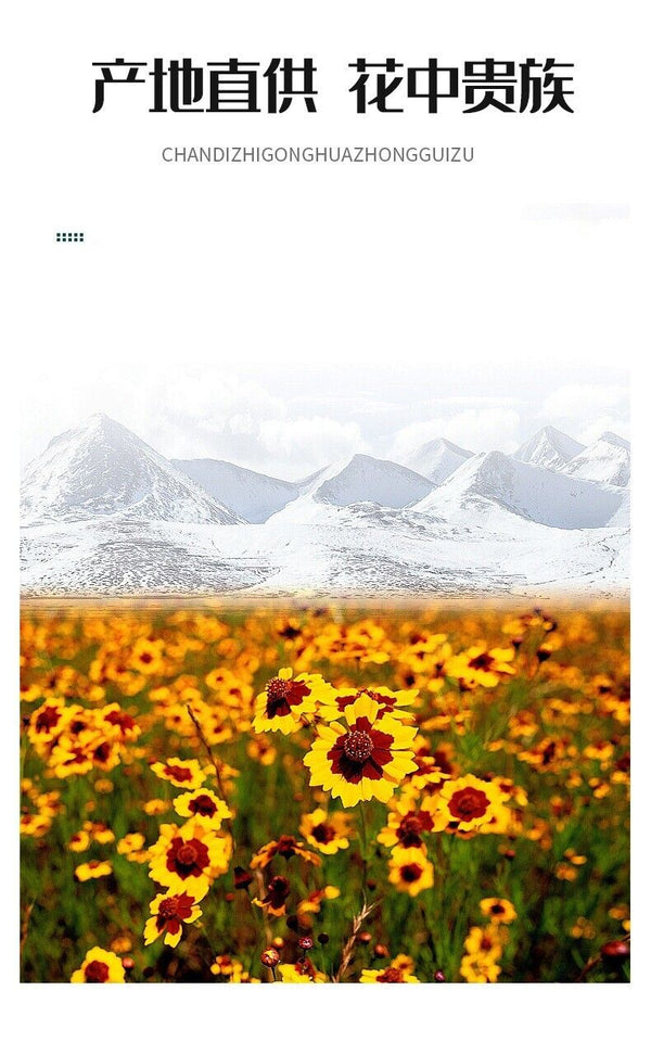 Kunlun Snow Chrysanthemum Tea Hand-Selected Whole Flower Buds Natural