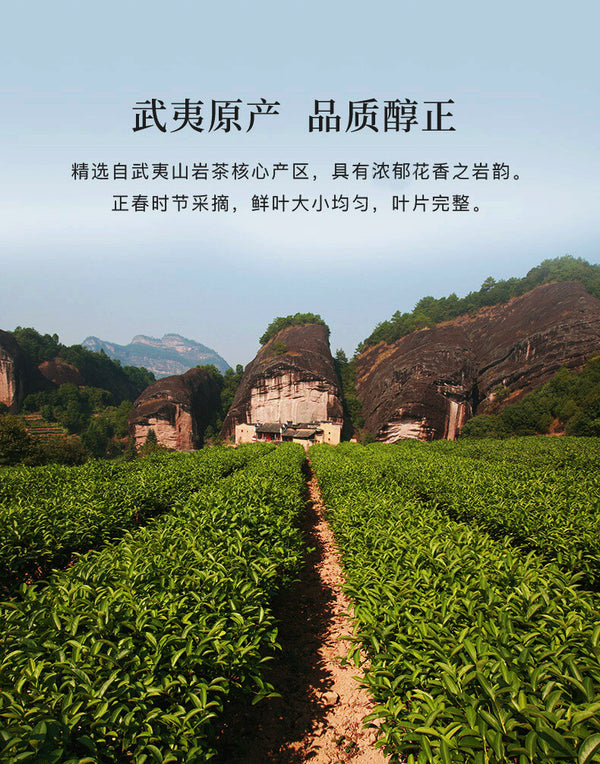 Aroma Dahongpao New Tea Oolong Tea 250g Fujian Wuyi Mountain Rock Tea