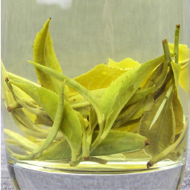 HelloYoung Dong ting Biluochun Top Fragrant Spring Canned green biluochun spring tea 150g