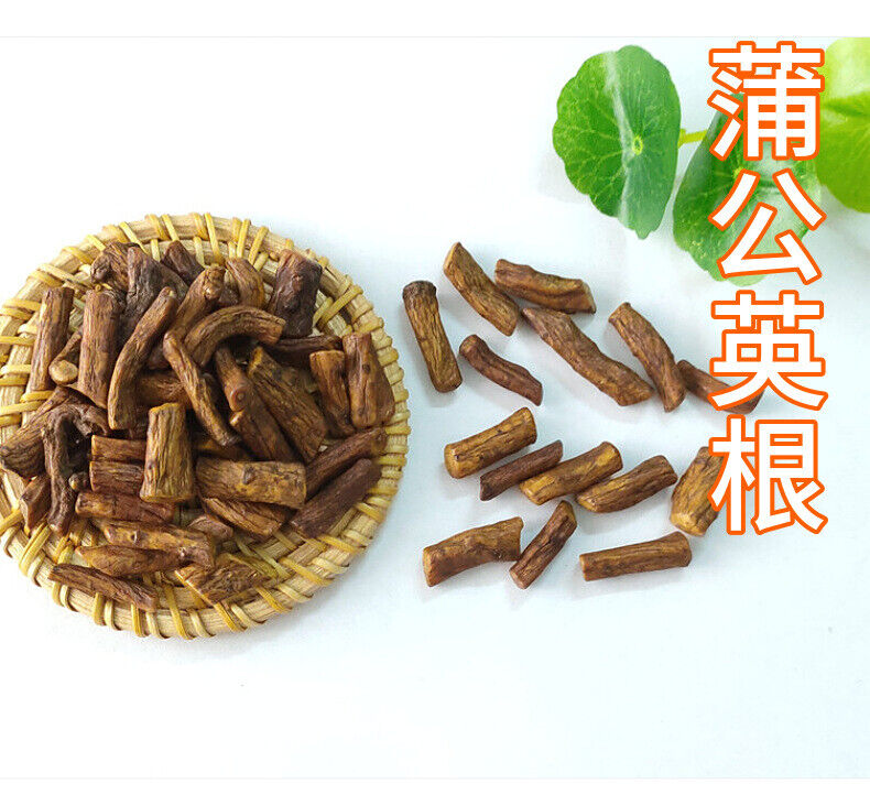 HelloYoung Wholesale dandelion root / dandelion tea bulk dandelion root 17.6oz