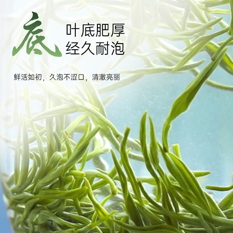 Yixing Maojian Green Tea Fresh Green Tea New Tea 50g
