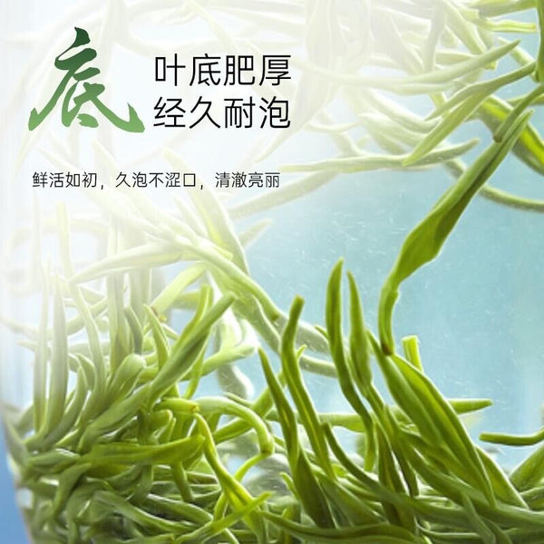 Yixing Maojian Green Tea Fresh Green Tea New Tea 50g