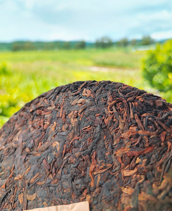 HelloYoung 357g Old Panzhang Pu'er Ripe Tea Cake Menghai Aged Pu'er Tea Cake HongJinYin