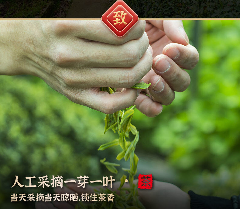 Minggulan Yunwu Maojian Tea Green Tea Spring Good Tea Stir-fried Young Buds 76g