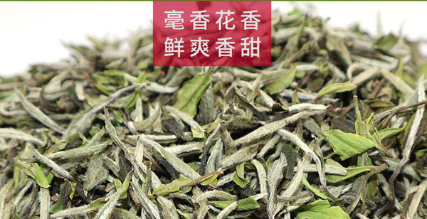 HelloYoung 500g Fuding white tea white peony king loose tea Panxi Ming Qian tea