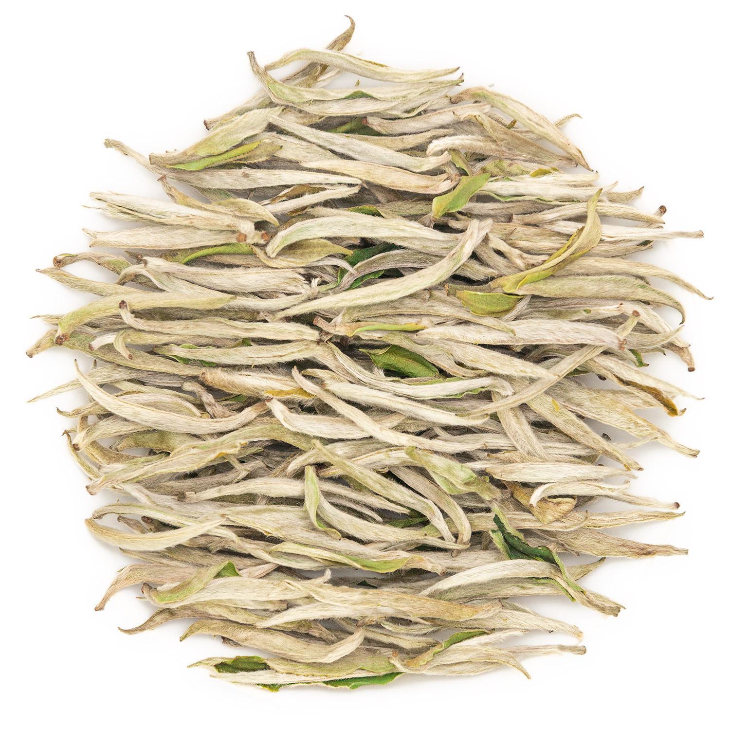 Fuding White Tea BaiHao YinZhen Silver Needle Main image