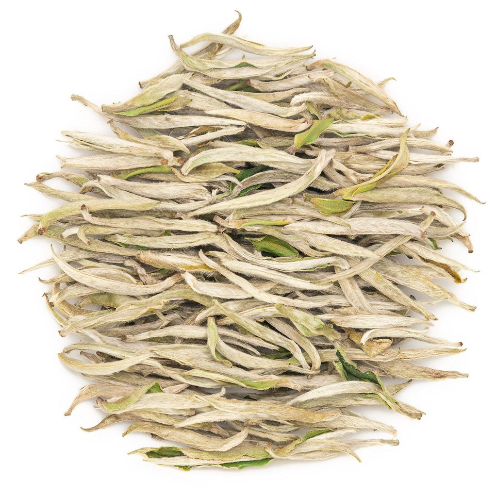 Fuding White Tea BaiHao YinZhen Silver Needle