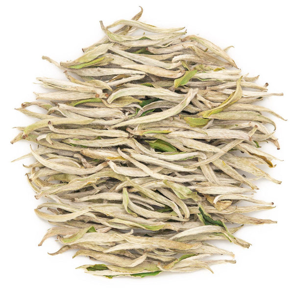 Fuding White Tea BaiHao YinZhen Silver Needle