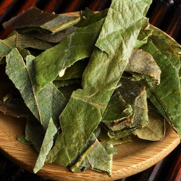 Premium Dried Loquat Leaf Tea 100g Traditional Chinese Herbal Health