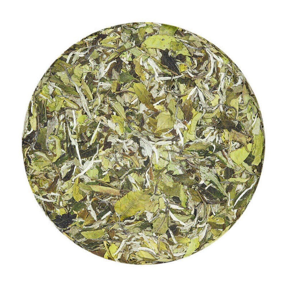 2025 Fuding Bai Mu Dan White Tea Cake Floral Aroma Spring Buds Loose Leaf