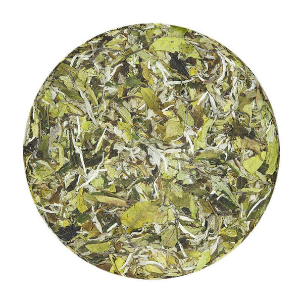 2025 Fuding Bai Mu Dan White Tea Cake Floral Aroma Spring Buds Loose Leaf