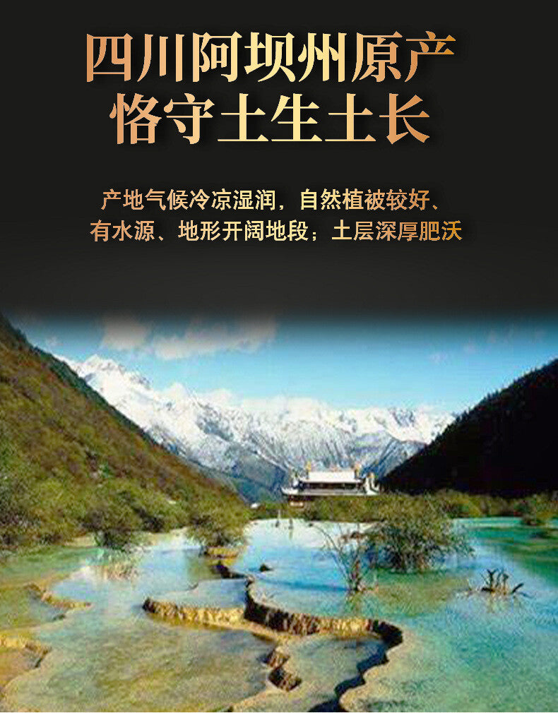 Pure Authentic Sichuan Fritillaria Powder Chinese Herbal Tea Sulfur Free
