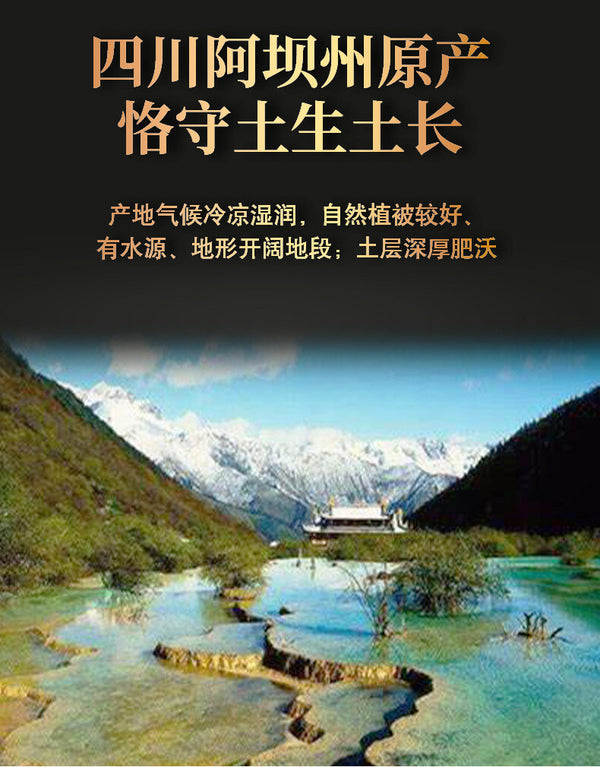 Pure Authentic Sichuan Fritillaria Powder Chinese Herbal Tea Sulfur Free