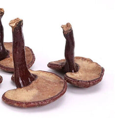 Bulk Supply Reishi Pilz Tee Vorteile im guten Preis Reishi Verkauf Online 500g