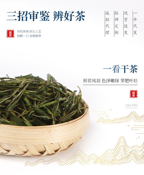 Grade Two Phoenix Style Pre-Qingming Gift Box Green Tea 125g New Anji White Tea