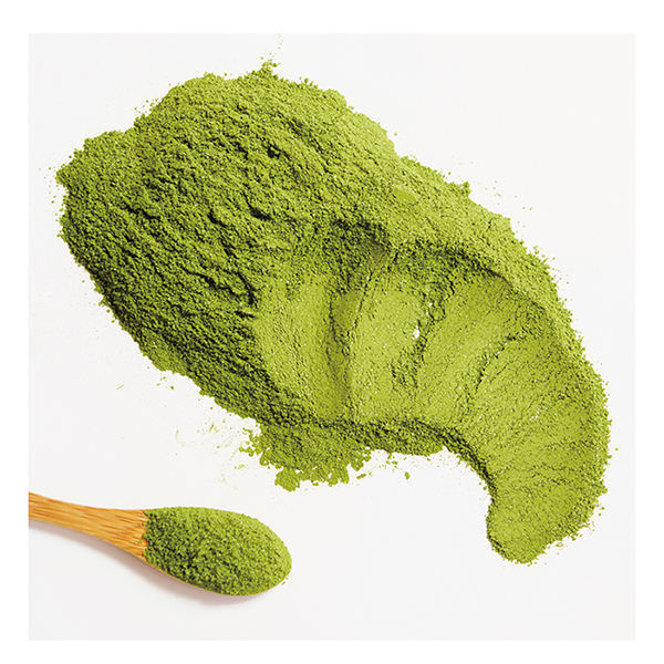 Matcha Green Tea Powder Pure Premium Culinary Grade Matcha 250g/8.8oz Main image