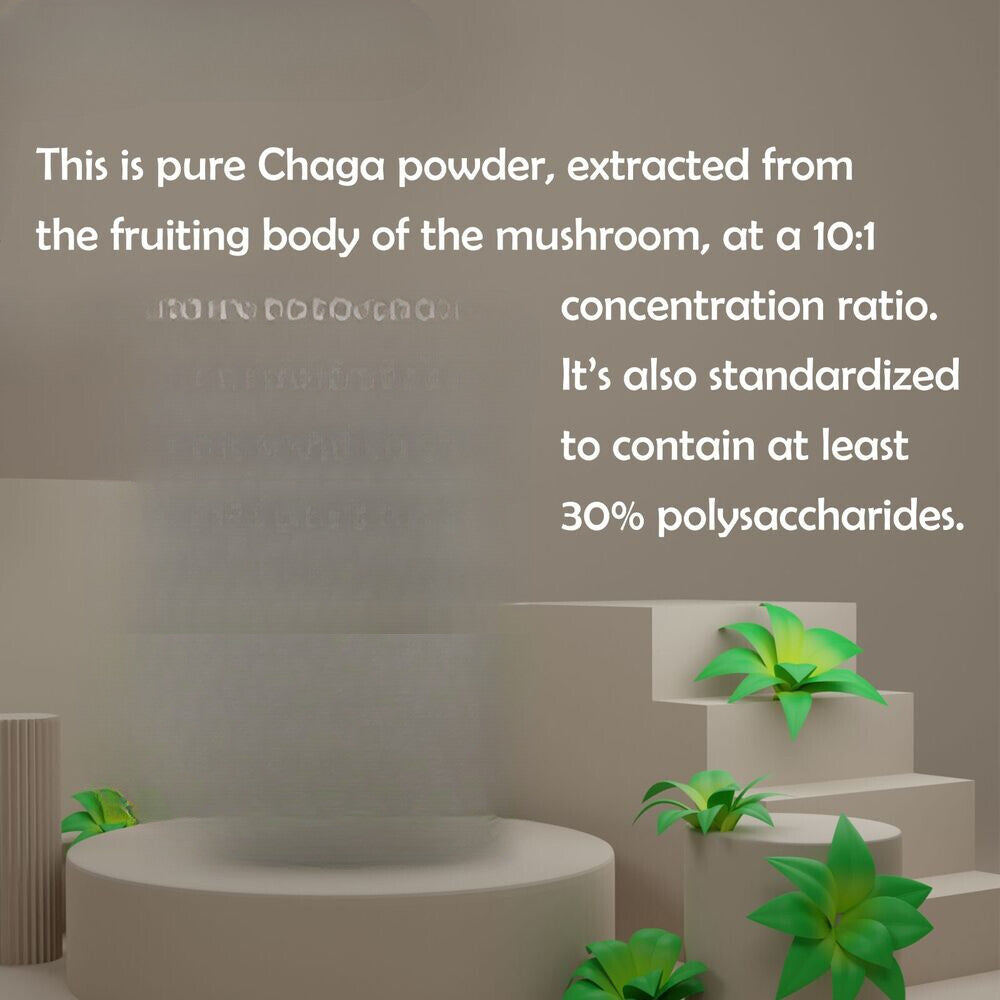 100g Pure Chaga Extract Powder Mushroom Supplement Chaga Mushroom Powder