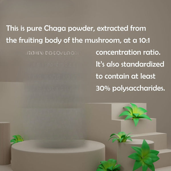 100g Pure Chaga Extract Powder Mushroom Supplement Chaga Mushroom Powder