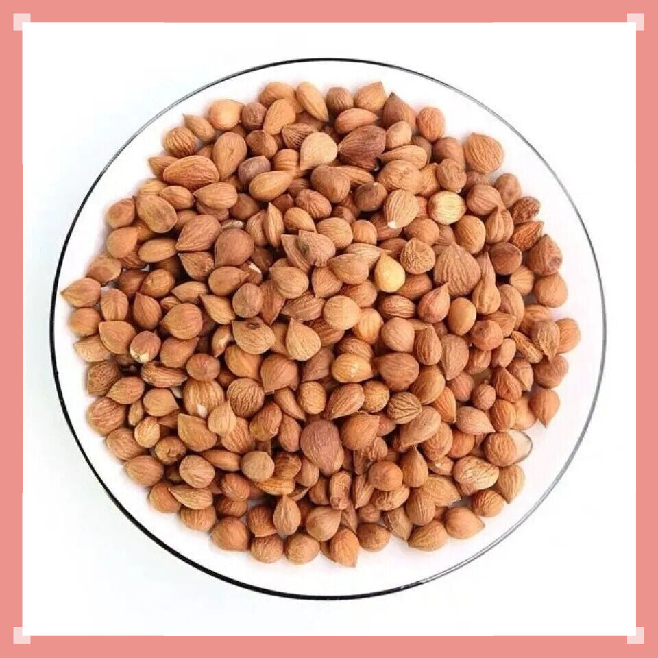 Premium Grade  Organic Apricot Kernels Raw Secondary image