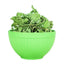 Mint Leaves Dried Peppermint Tea Herbal Pure Peppermint Natural Tea 500g/1.1LB