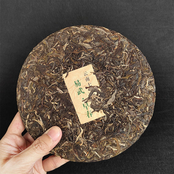 HelloYoung Pu-erh Raw Tea Cake Yunnan Pu-erh Tea 357g 云南七子茶饼 易武早春