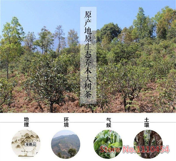 100g Raw Puer Tea Cake Pu'er Tea Health Care Yunnan Deep Mountain Puerh Tea Tree