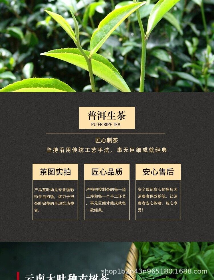 HelloYoung Yunnan Pu'er Tea Raw Tea Yiwu Zhengshan Raw Cake Tea Ancient Tree Raw Tea 357g