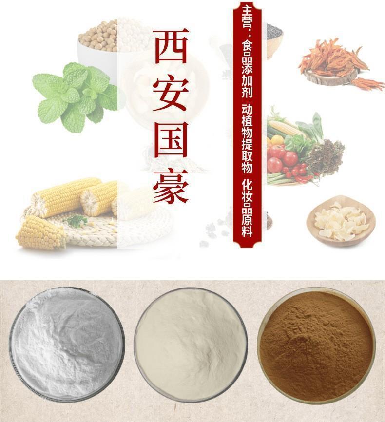 Moringa Leaf Powder Certified Organic Raw Lychee Leaf Extract Powder 500g Secondary image