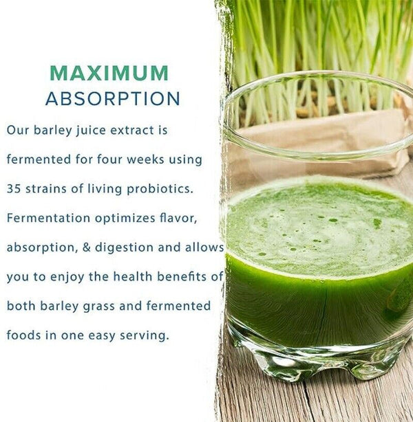 HelloYoung Organic Barley Grass Rich in Immune Vitamin, Fibers, Minerals,