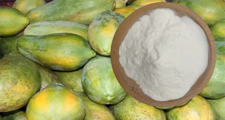 250g Wholesale 98% Pure Powder Refined Papain Enzyme Papain Enzyme in Bulk