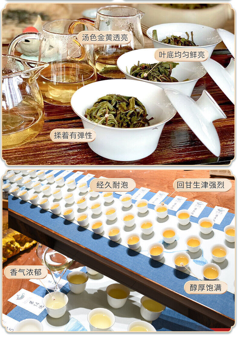 Puerh Tea Cake 357g Da Yuan Tou Spring Leaf Seed Pu-erh Old Raw Tea Cake Tea
