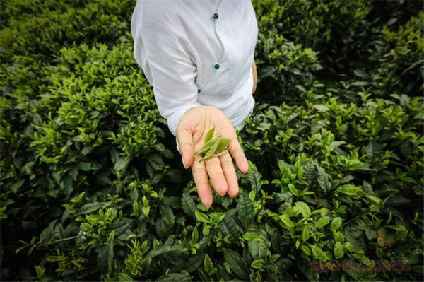 200g Lichee Black Tea Lychee Fruit Flavor Congou Kung Fu Tea Red Tea Health Care