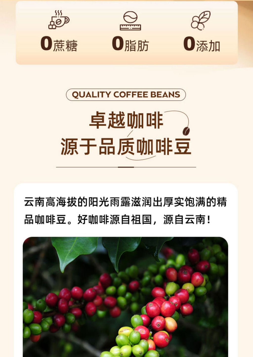Cold Brew Capsule Coffee Espresso Small Canisters Americano Freeze Dried in Cups