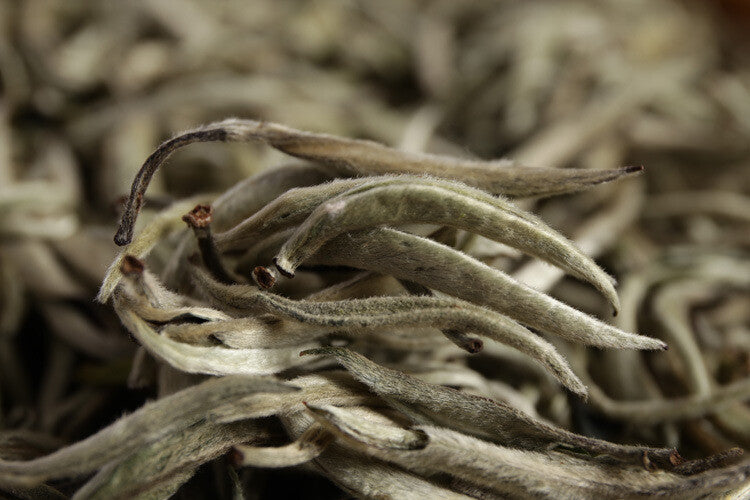 2024 Premium  Yunnan Pu'er Raw Baihao Yinzhen White Tea Loose Leaf 500g