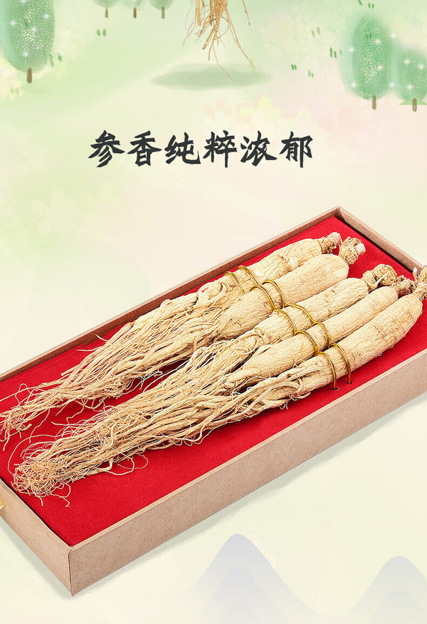 100g Ginseng Changbai Mountain Selected Large Strips Ginseng Health Tea Tonic