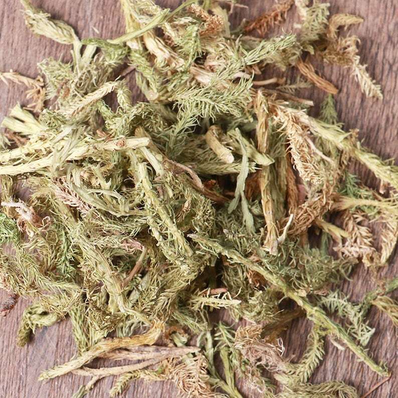 Organic Herbal Common Clubmoss Herb Herbal Lycopodii Great Quality Secondary image