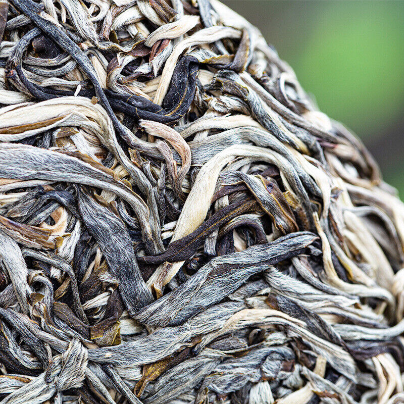 HelloYoung 257g Yunnan Pu'er Tea Old Banzhang Raw Tea Healthy Drink