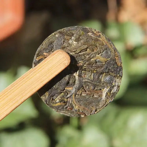 Mini Puer Tea Cake 6 Gram Raw Puerh Bing Cha Bingdao Sweet Raw Puer Tea Cake