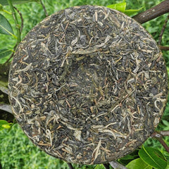 HelloYoung Organic Green Tea Cake Chinese Tea Health Care Natural Arbor Pu'er Tea 357g