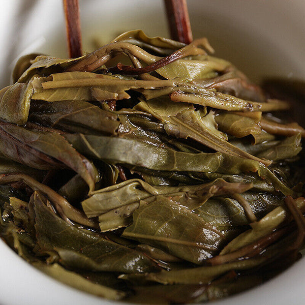 Yunnan Puerh Tea Xigui Longzhu Big Tree Raw Tea Office Mini Tuo Tea 500g Bulk