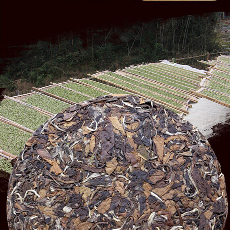 HelloYoung White Tea Cake Shoumei Date Fragrant Chinese Tea Top Fuding White Tea 350g